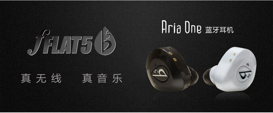 Aria-one-2(图2)